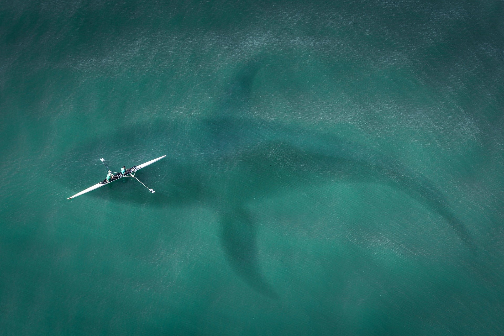 Film „The Meg": Waldorf Frommer mahnt wegen Filesharing ab